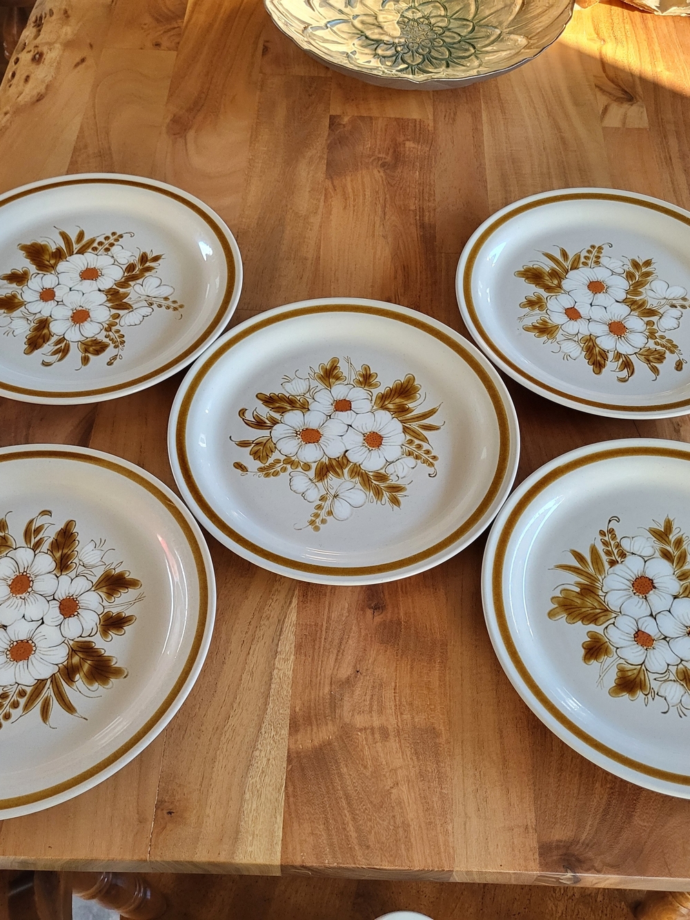 Mountain Wood Collection - Vintage Floral Dinner Plate Set - (5-Pack)